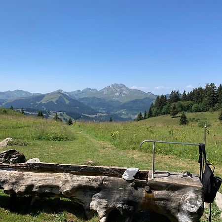 Chalet Yuki Morzine Esterno foto